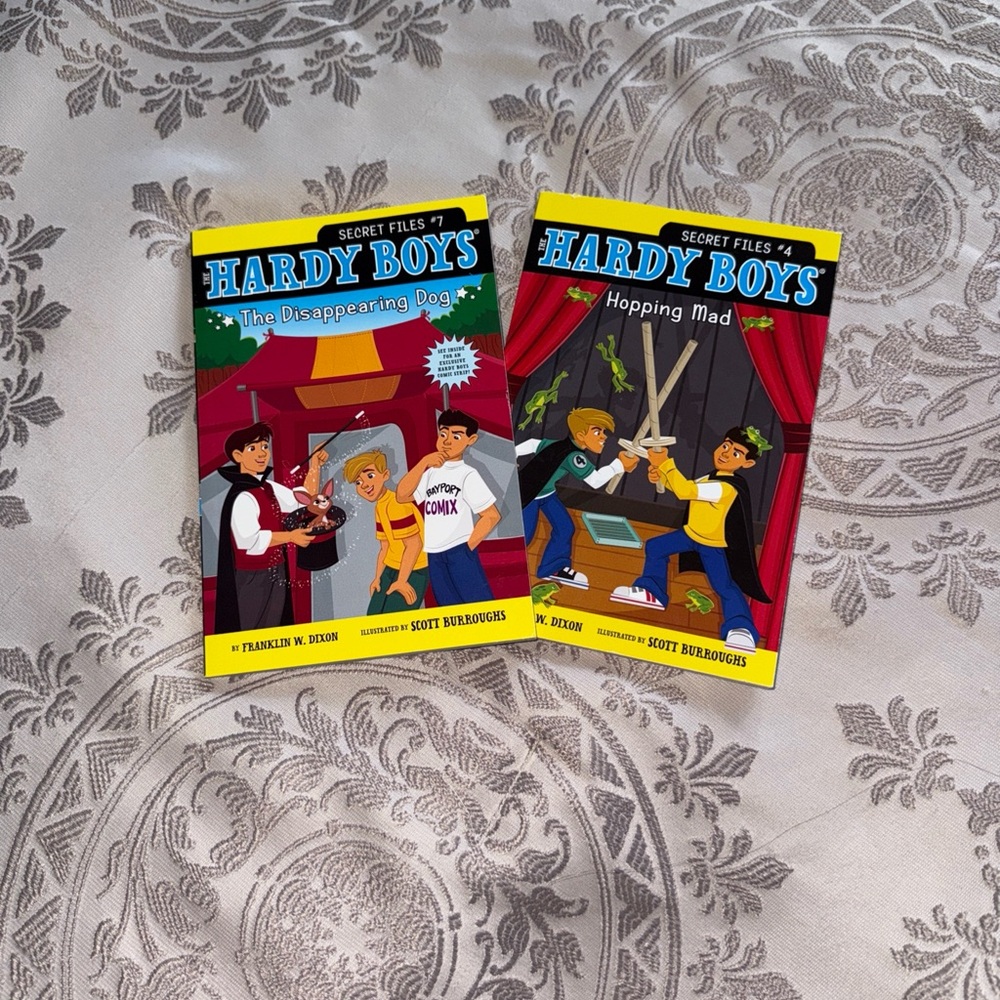 Kids books Hardy boys lot of 2